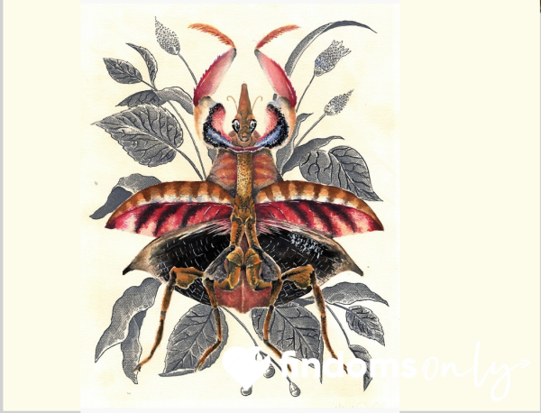 Miss_Mantis