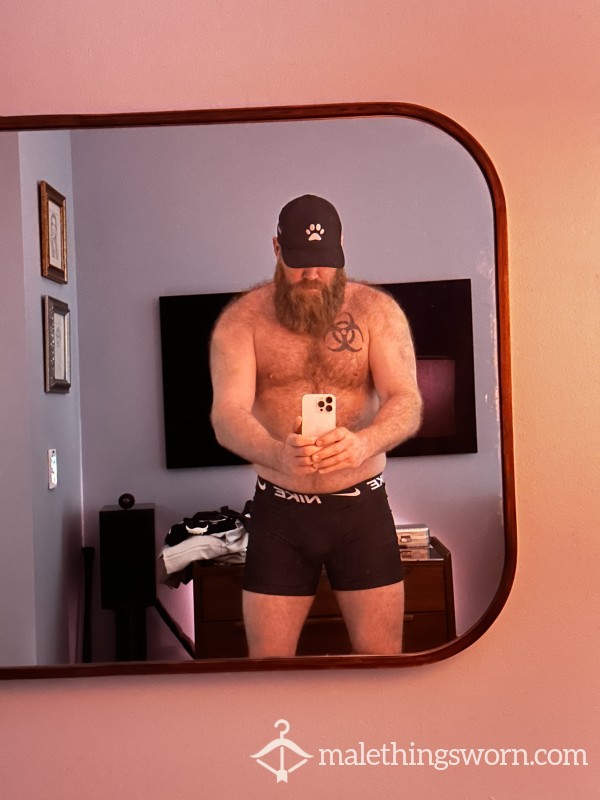 MisterBear