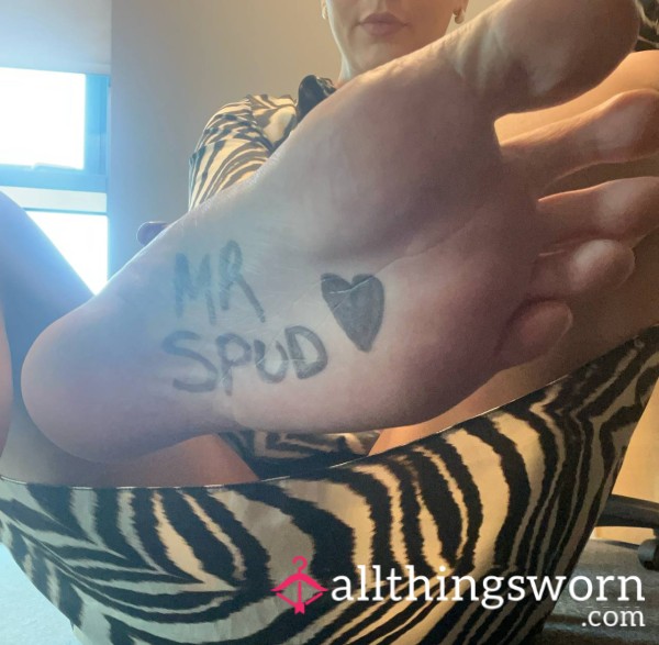 _MrSpud