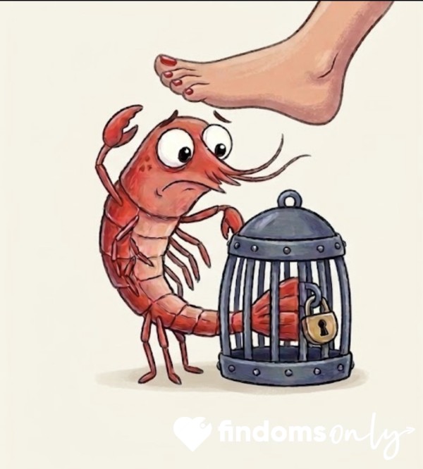 MS_AttenHutShrimp