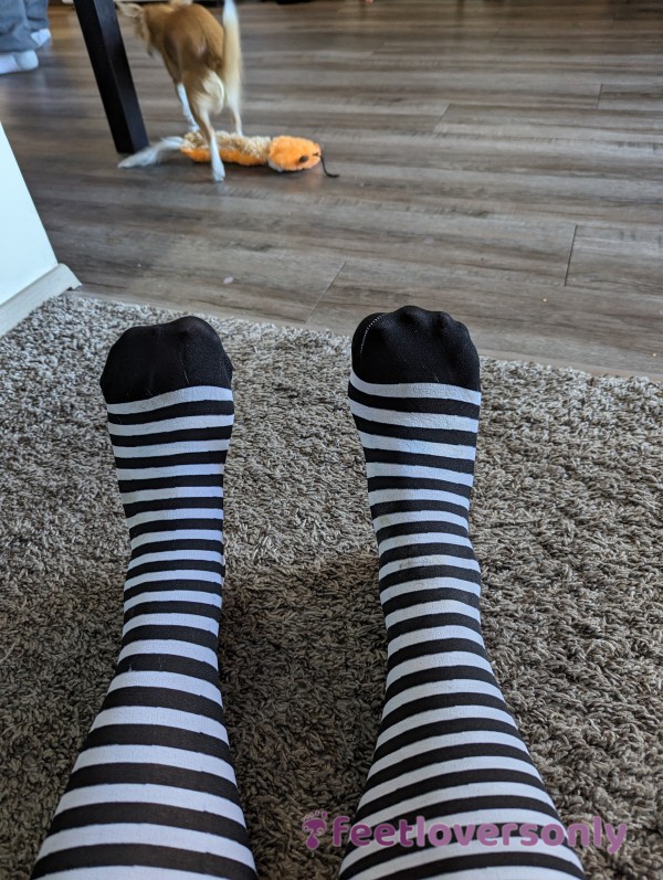 Msgymsock