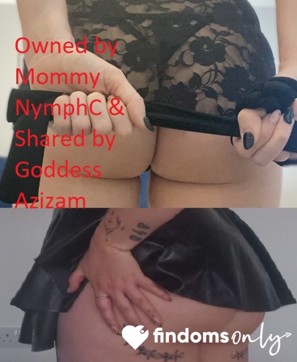 NymphC_puppy