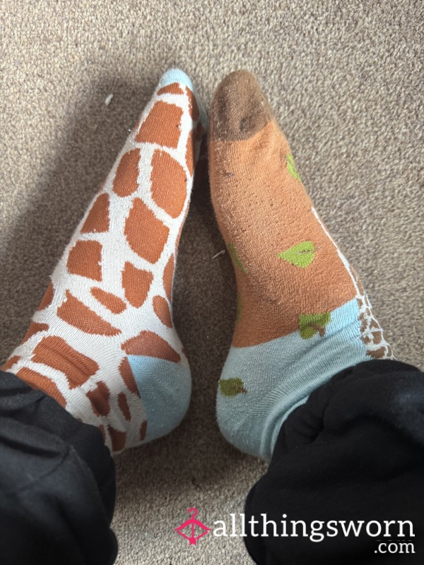 OddSocks1234