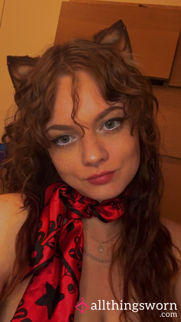Odyssa