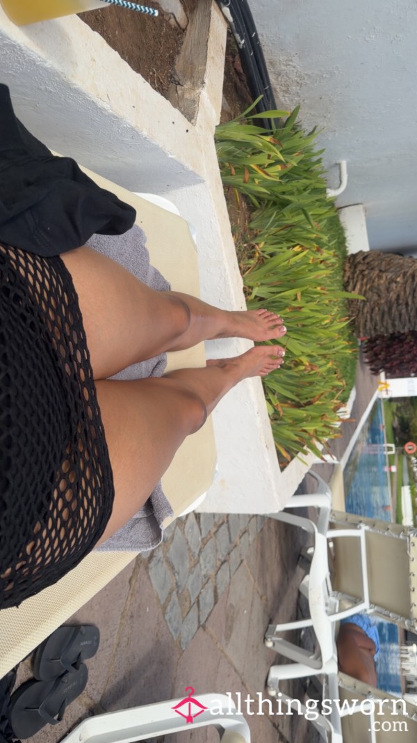 Paigeelea