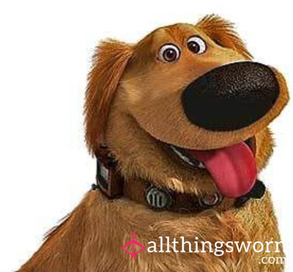 Pervydawg