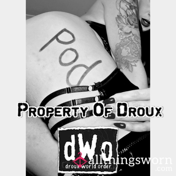 PropertyOfDroux