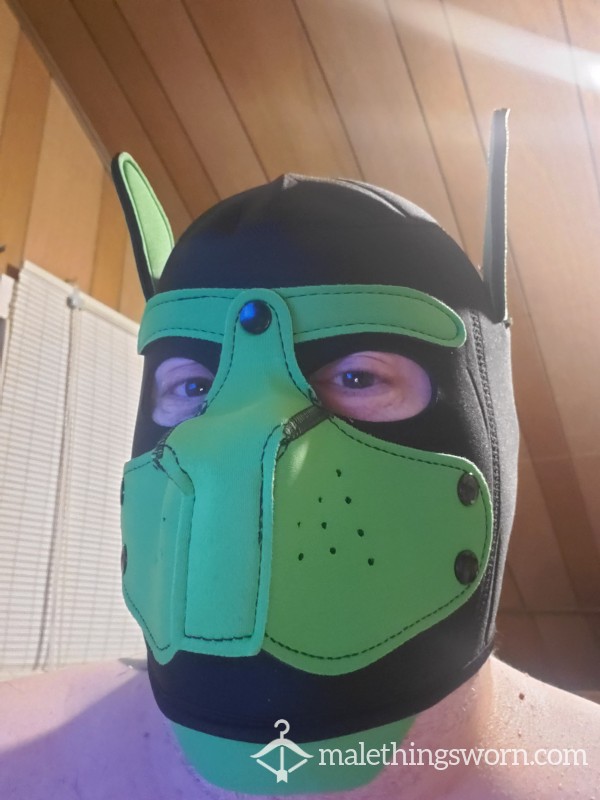 PupAceAngelous