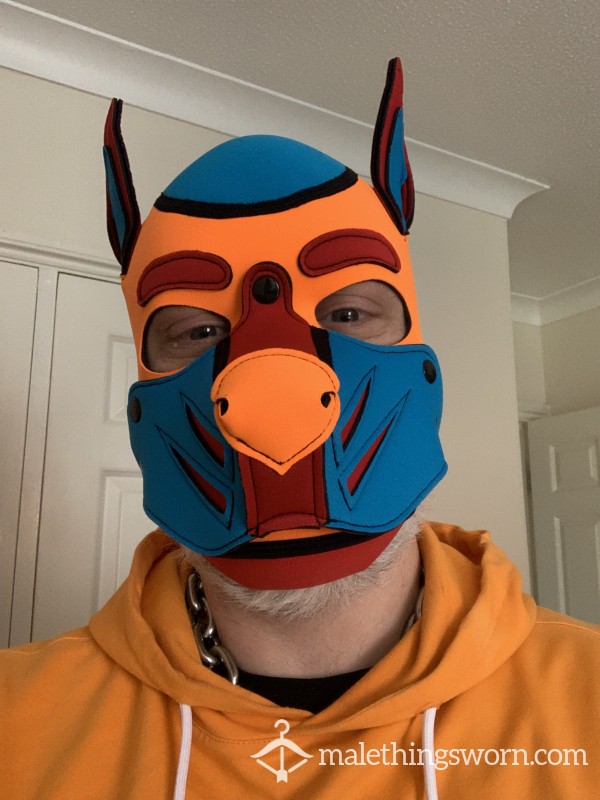 Pupaxel81