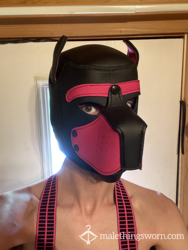 PupZander