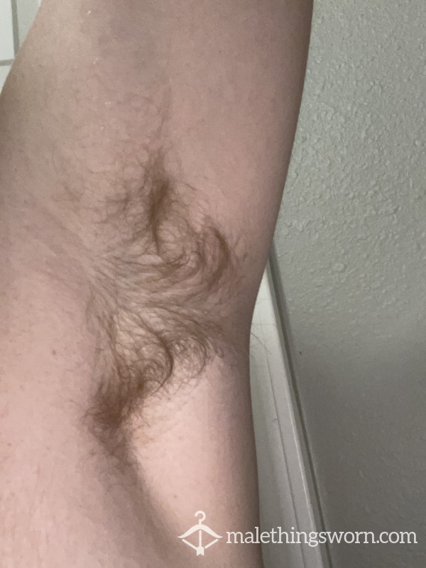 Gingerjocktx