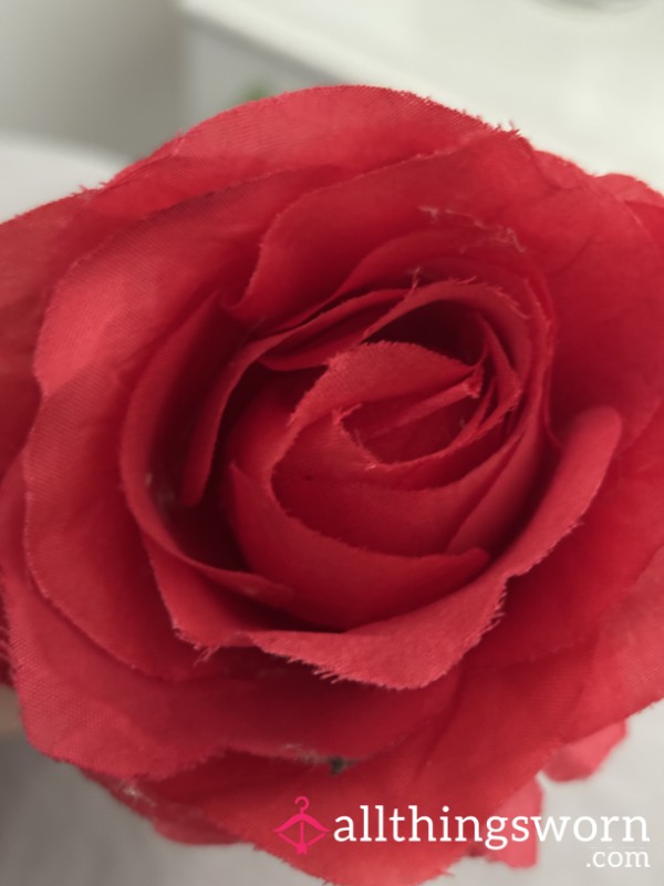 Redrose