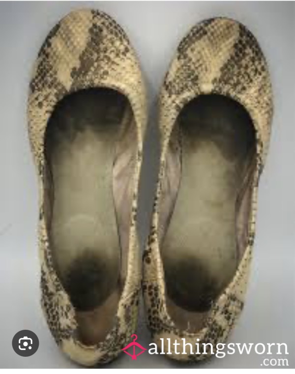 ShoeSniffingDumba**