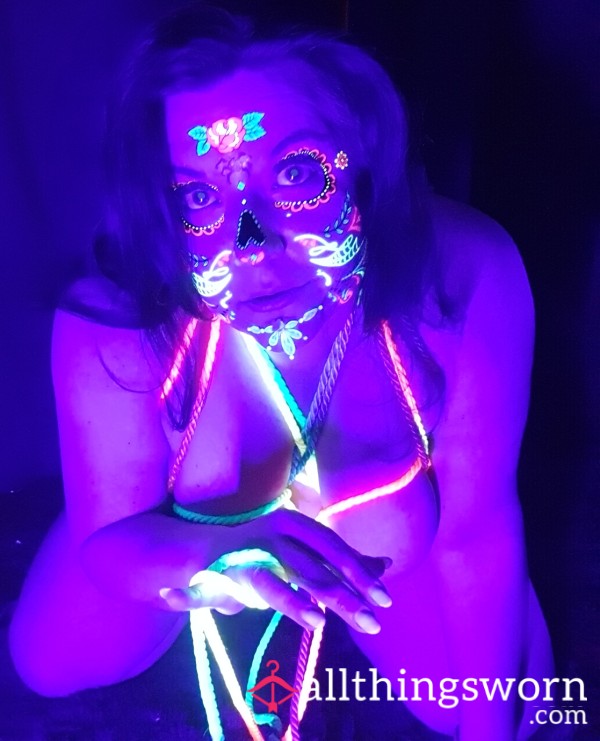 Showbunny