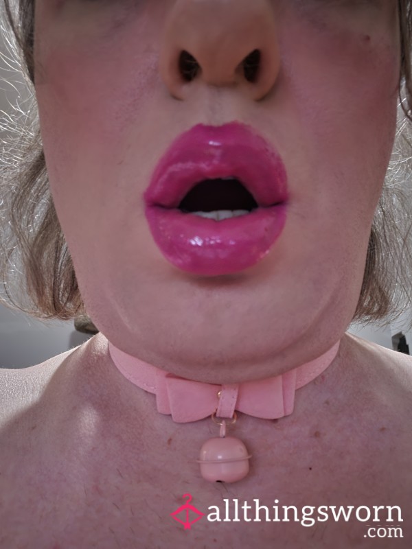 Sissystefii