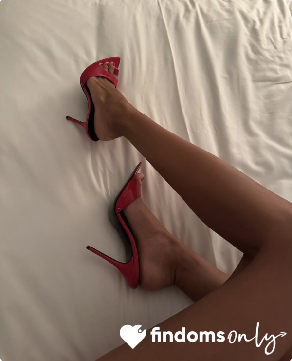 SofiaRose