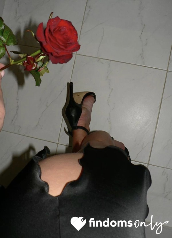 SofiaRose