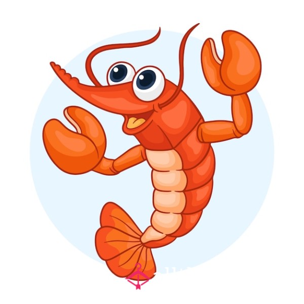 SphMicroMan