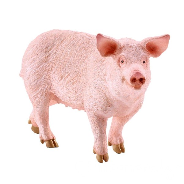 Steal_this_pig