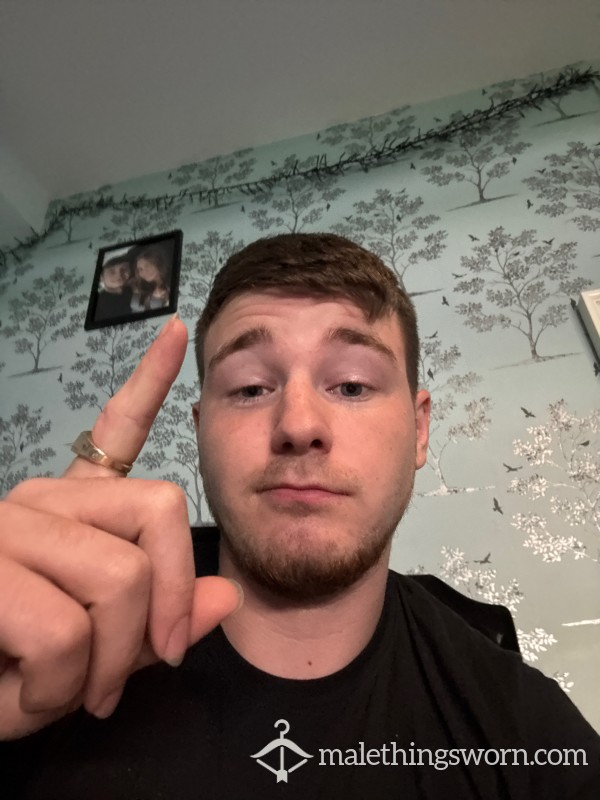 Sugarshane