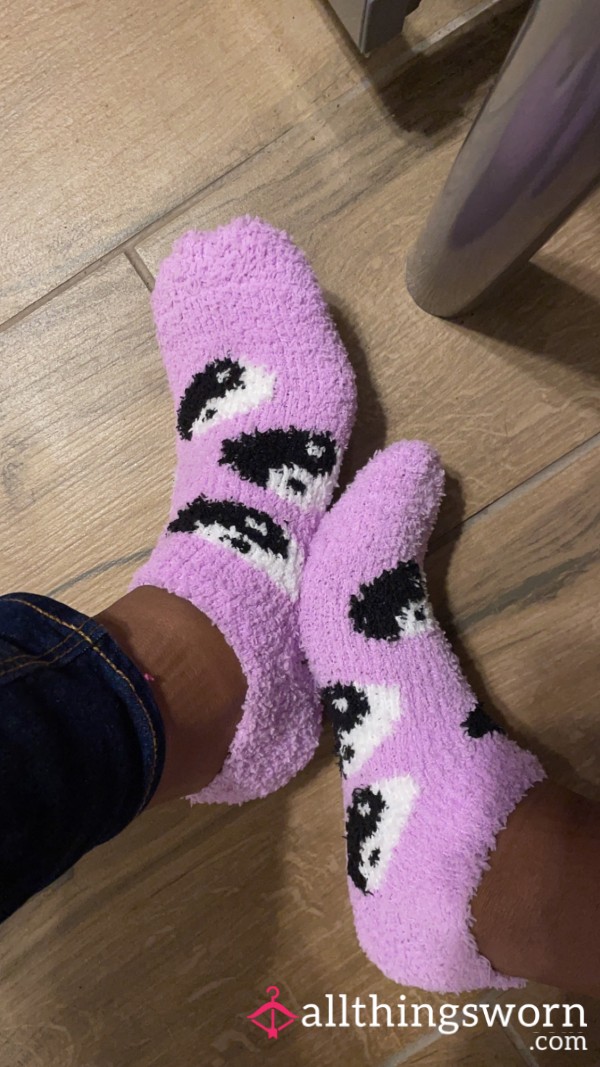 SweetFeetr