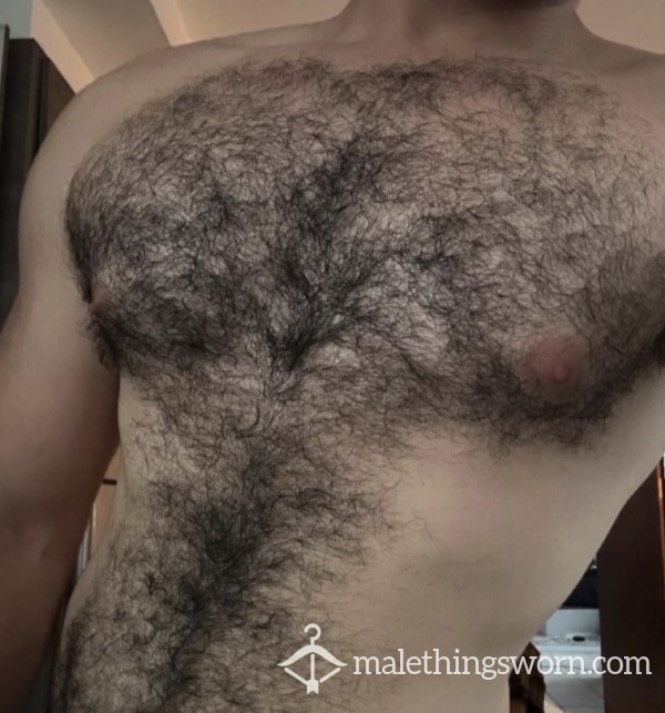 TallEasternWorn