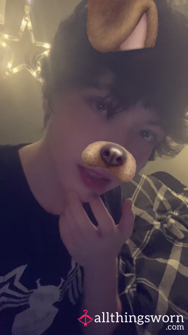Tboybunnybaby