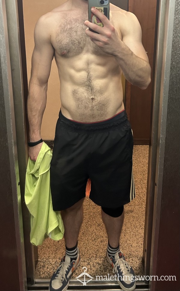 TheItalianBull