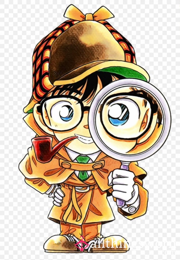 ThePantyDetective