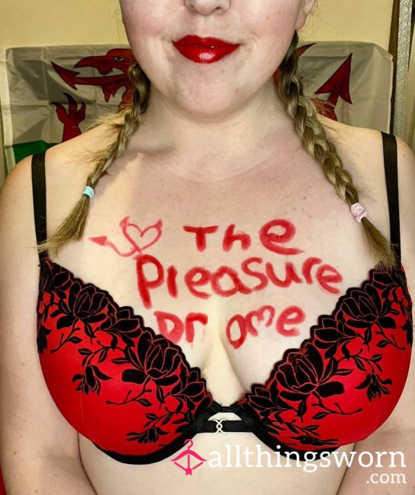 ThePleasureDrome