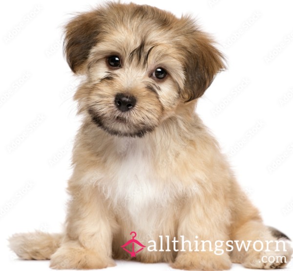 Tightspuppy