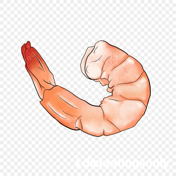 Tinychubcuck