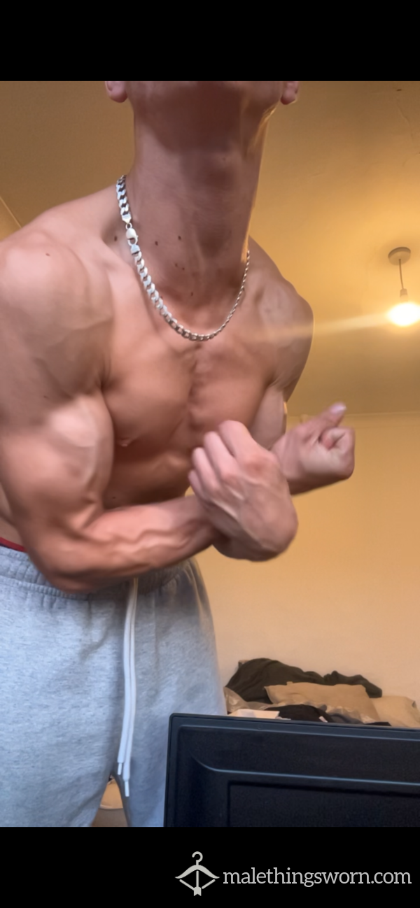 TommyTheAlpha