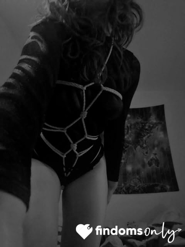 VelvetSiren