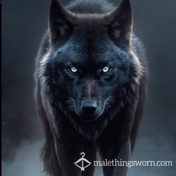 Wolfwolfy