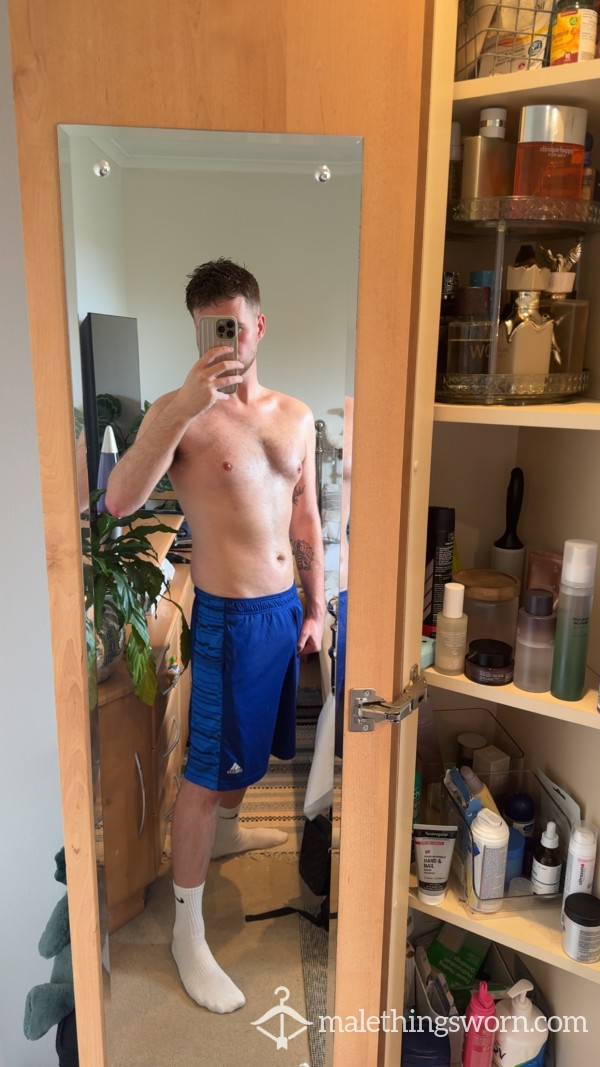 Zachhungbrit