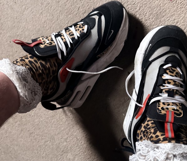 SneakerCleaner